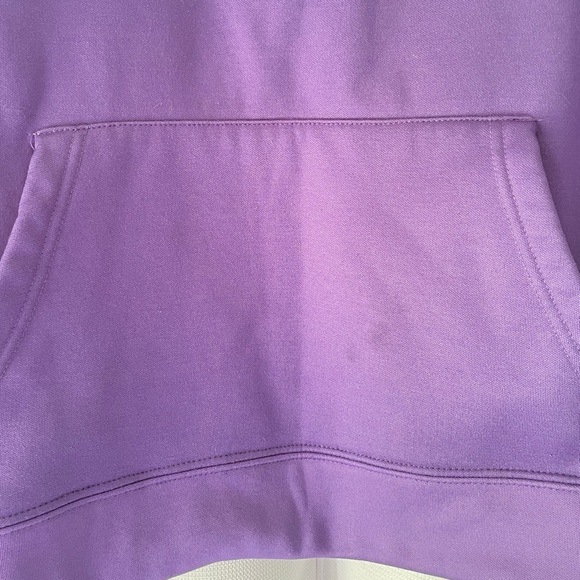 Texas Christian University Horned Frog Colosseum NCAA Hooded Sweatshirt Sz L - Picture 4 of 12